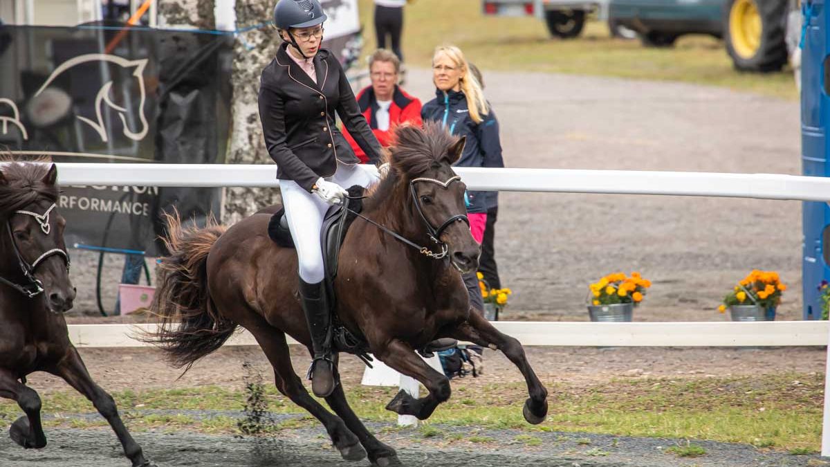 Luontoel mys Archives Jorma Ursin